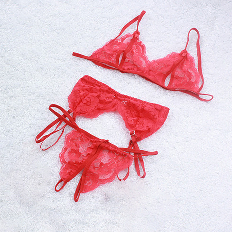 1 세트 여성용 레이스 란제리, 슬링 오픈 푸시업 브라 - Sheer Mesh Bra 리뷰 및 가격
